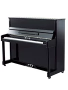 Đàn piano Bosna GP122HB của Đức mới bắt đầu chơi chuyên nghiệp (được bán trong tỉnh để gửi về nhà)