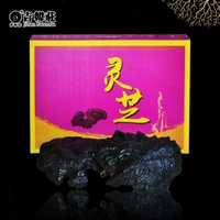 吉韩庄 Ganoderma lucidum рост Ganoderma таблетки натуральная ганодерма Lucidum чай