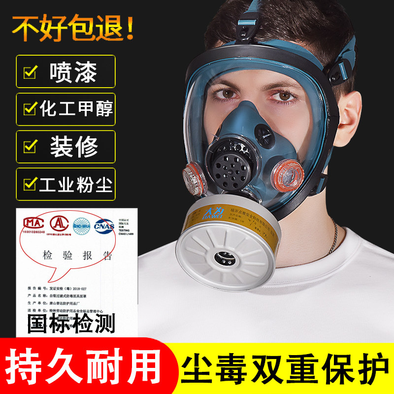 防腐面具防毒放毒消毒面罩全面罩喷漆打农药电焊口罩氧气全封闭带