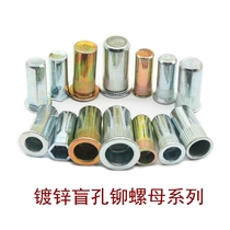 Closed rivet nut Blind hole rivet nut Waterproof pull rivet nut galvanized blind end M3M4M5M6M8M10M12
