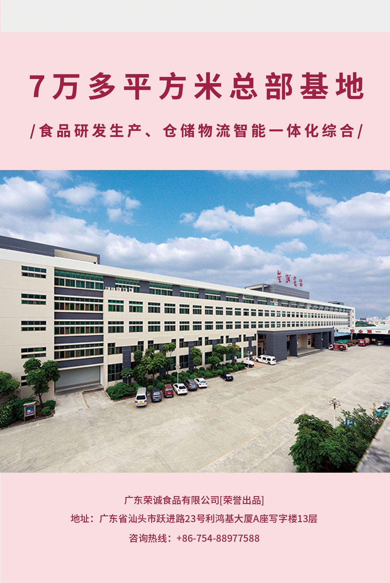 荣诚 高颜值 流心水晶粽子 4口味8个装 图9