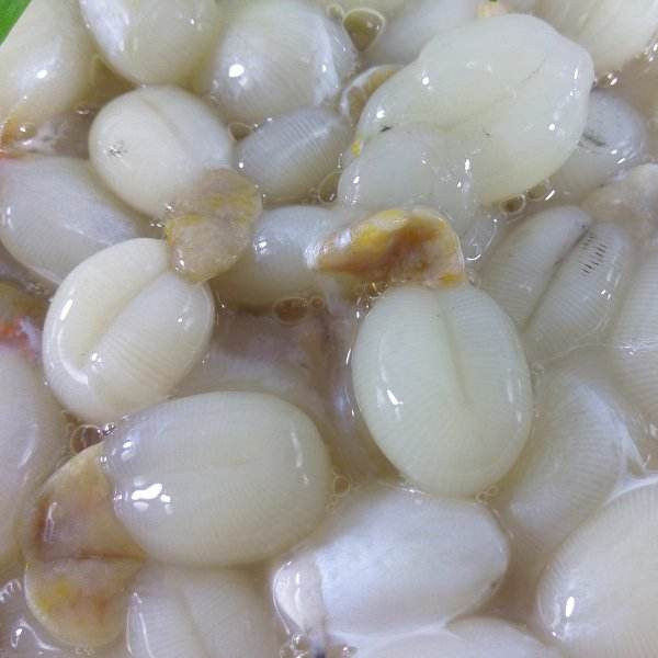 Slightly salted small cuttlefish egg, flounder egg, mullet egg, squid