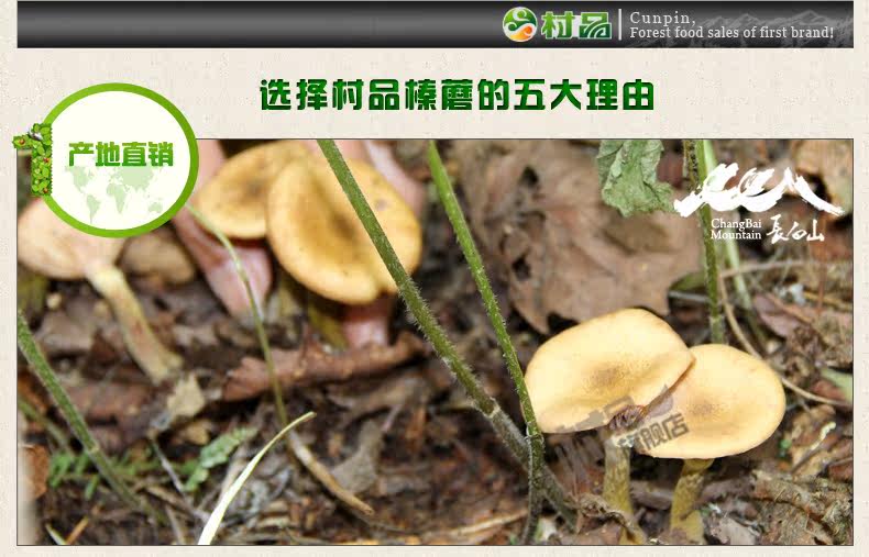 Хейзел Гриб [2] _04.jpg