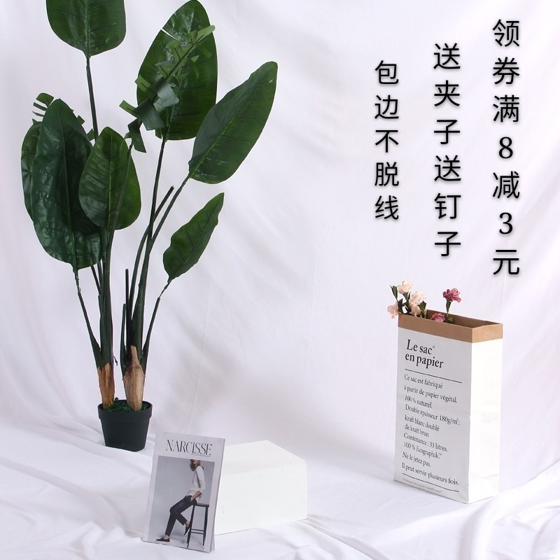 Ins Nordic cold wind hanging wall white cloth camera photography photo props pure white net red live broadcast background cloth