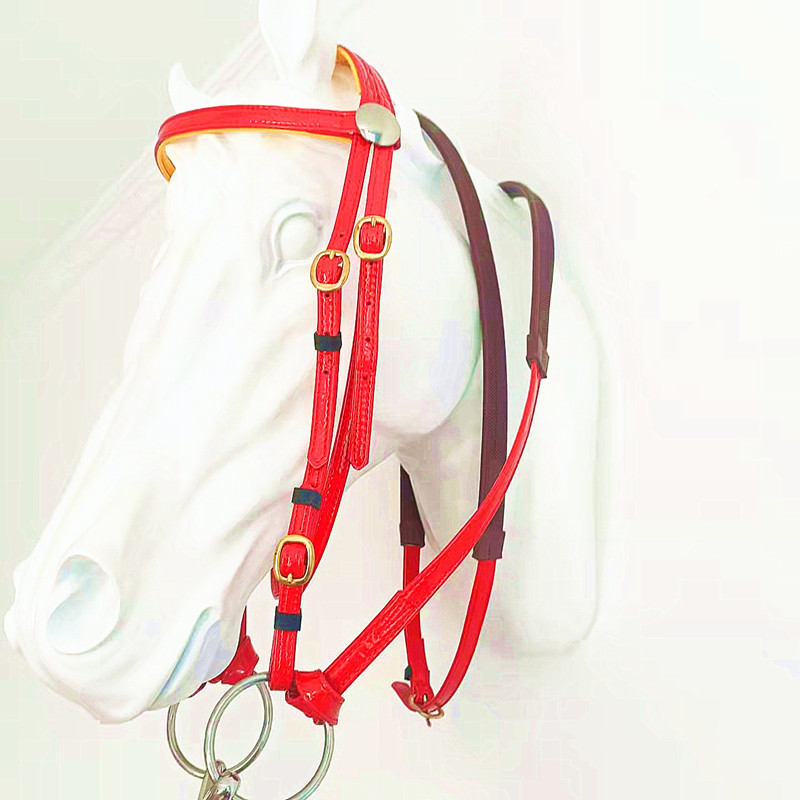 Shui Le bridle interface set equestrian sports horse equipment patent leather pure copper accessories waterproof anti-freeze durable