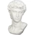 30 cm David Xiaowei Venus Shepherd Boy Victory Goddess Sketch Mô hình thạch cao Đầu trang trí nghệ thuật trang trí - Trang trí nội thất