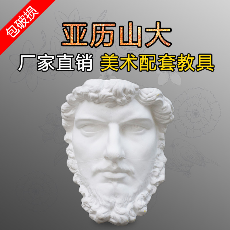 Tianhao gypsum like fine art teaching tool Alexander facial facial facial pixel sketch fine room supporting supplies