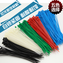 Hot sale 5x300 RC plane accessories 2 5X150 color nylon cable tie 2X100 nylon cable tie 3 6X200