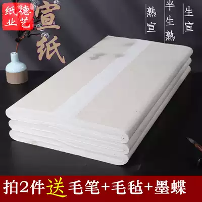 Xuanxuan half-cooked rice paper wholesale brush calligraphy Chinese painting meticulous painting beginners practice paper