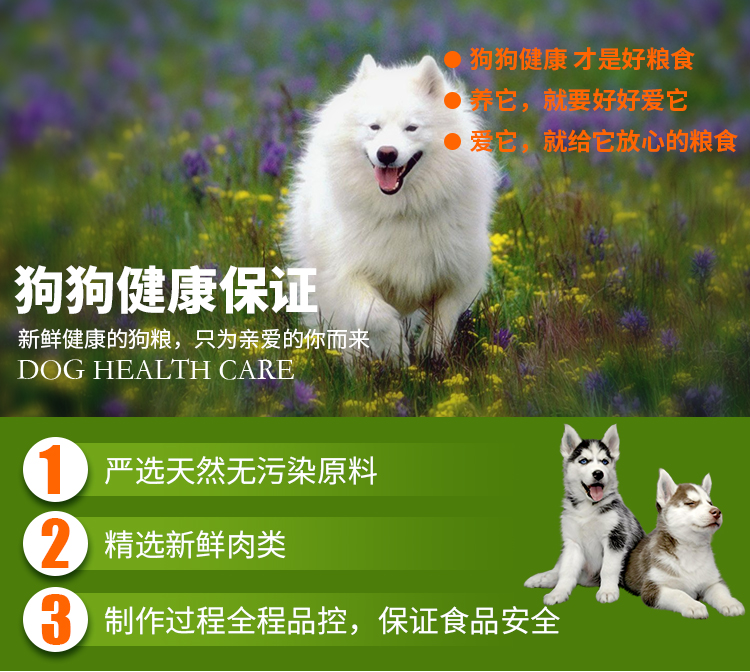 Yourui chó thực phẩm dành cho người lớn chó trà dầu 500 gam hơn gấu Jin Mao Teddy phổ con chó con chó thức ăn số lượng lớn 1 kg hạt cho mèo