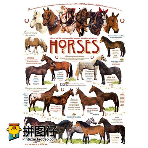 Special offer Canada Cobble Hill 1000 pieces 51825 imported jigsaw puzzle horse's illustrated book
