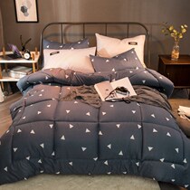Silk quilt Winter quilt Double dormitory Spring and Autumn student vacuum quilt Single heating quilt Winter quilt core