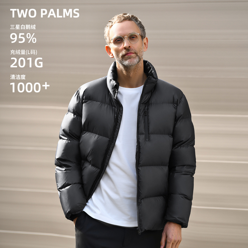 Two Palms High-End 95 White Goose down Stand-Up Collar Puffer Jacket Men's Winter Thickened Warm Coat