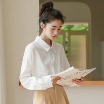 Design sense niche Salt White shirt female 2021 new autumn loose Korean version Joker long sleeve top female