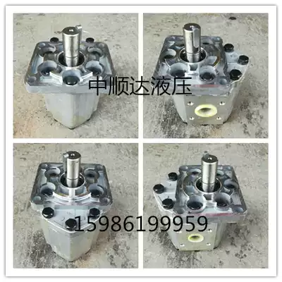 Tianjin Shunda Hydraulic CBT-E532 CBT-E550 CBT-E563 CBT-E580 Gear Oil Pump