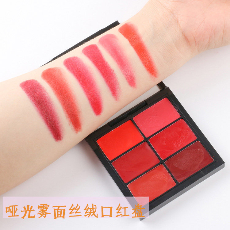 Lipstick multicolored makeup artist dedicated makeup package package combined portable studio professional aunt brick red