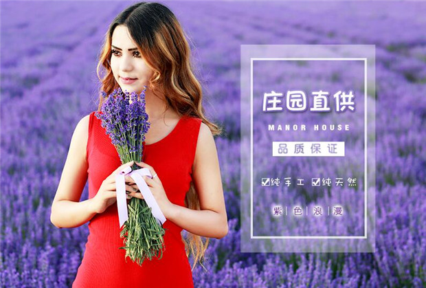 Gối hoa oải hương dễ thương giúp ngủ làm dịu bạn gái mất ngủ kiều mạch gối hoạt hình gối cổ - Gối gối chống trào ngược