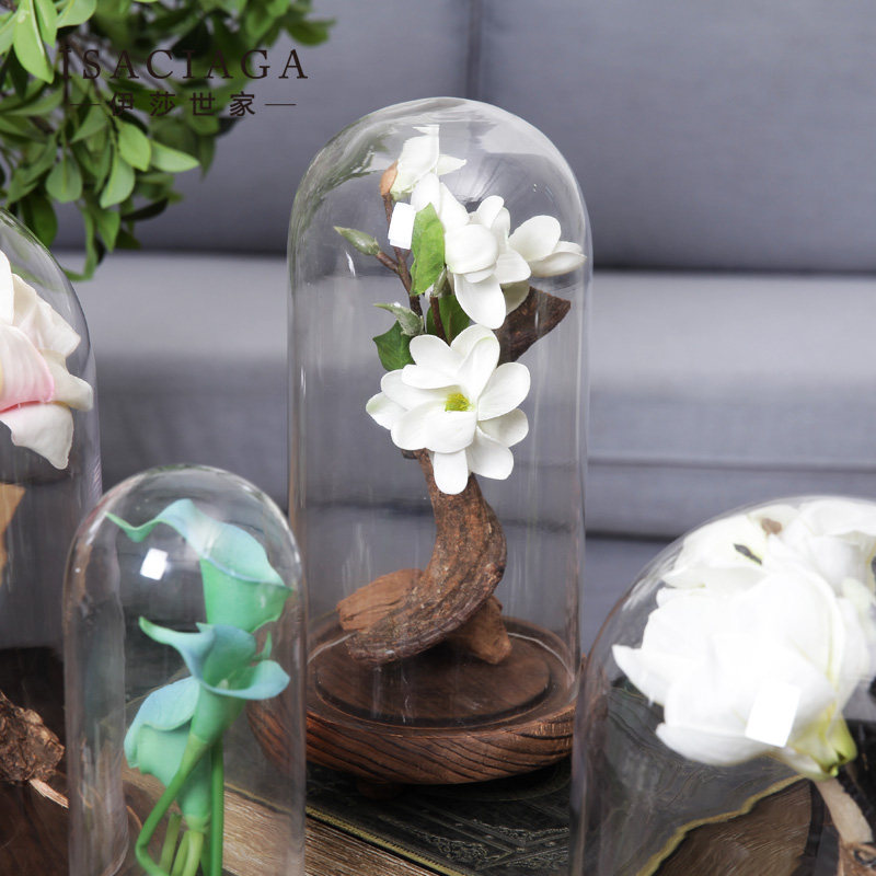 ��ɯ����͸����������BJ041274��