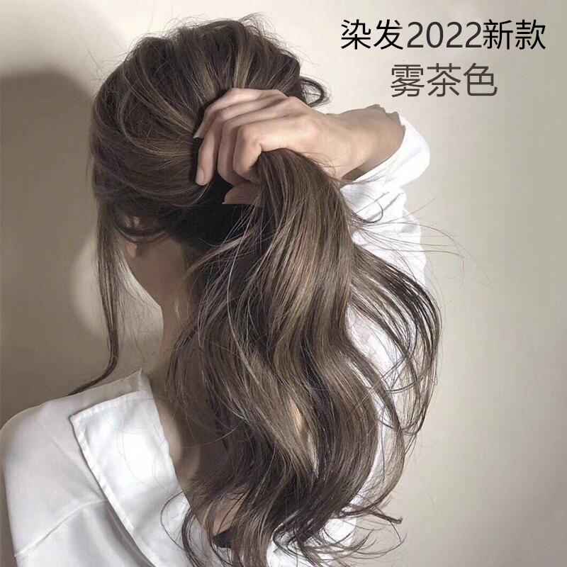 Fog Tea Hair Dye 2021 Popular Color Self Dye Pure White Foam Plant Hair Dye Cream Women Authentic