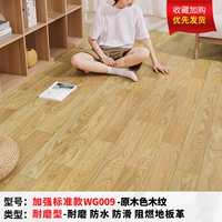 Усилить стандартную модель WG009 [20 квадратных метров]