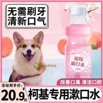 Corgi special dog edible mouthwash pet bad breath cleaning water dental calculus cleaning tool fresh breath