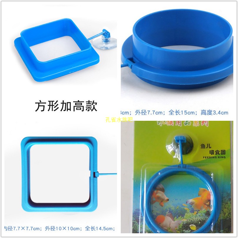 Fish tank aquarium aquarium fish feeding circle aquarium fish tank fish food fish feed circle feeding circle feeding circle feeder