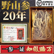 Montagnes Changbai du Nord-Est Ginseng ginseng 20 ans Lin Lower Ginseng Ginseng à cinq folioles Ginseng à cinq folioles Ginseng Spécial Ginseng Boîte à cadeaux Robe sèche Ginseng à cinq folioles