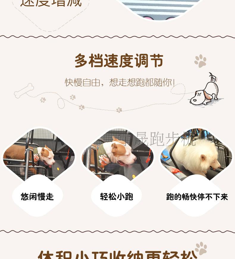 JIANBU thú cưng trực tiếp chạy máy chạy bộ Teddy chiến đấu chó chạy bộ chó chạy máy đào tạo chó cung cấp chó C100 - Máy chạy bộ / thiết bị tập luyện lớn may chay bo tren khong