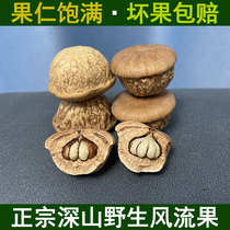 Authentic wild romantic fruit soaked in wine glans penis fruit and kidney nourishing Chinese medicine nourishing yin and yang fruit large vine-falling fruit 500g