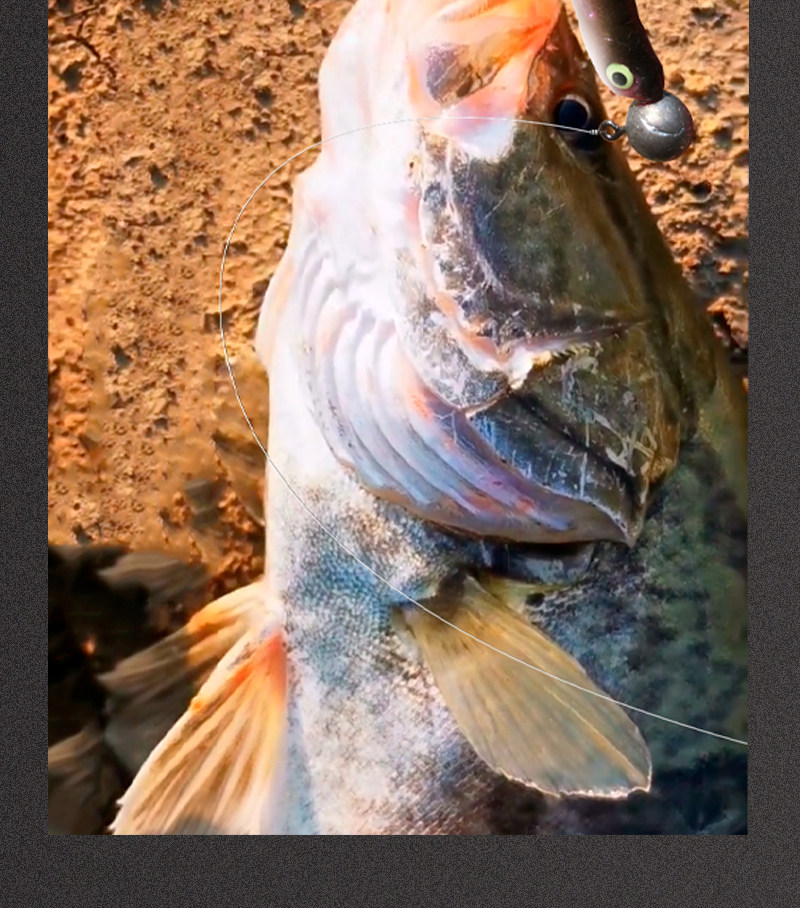 Дорожные суб- приманки 鳜鱼桂花t尾白条鱼路亚饵软饵假饵软虫仿生套装淡海水翘嘴鲈夜光