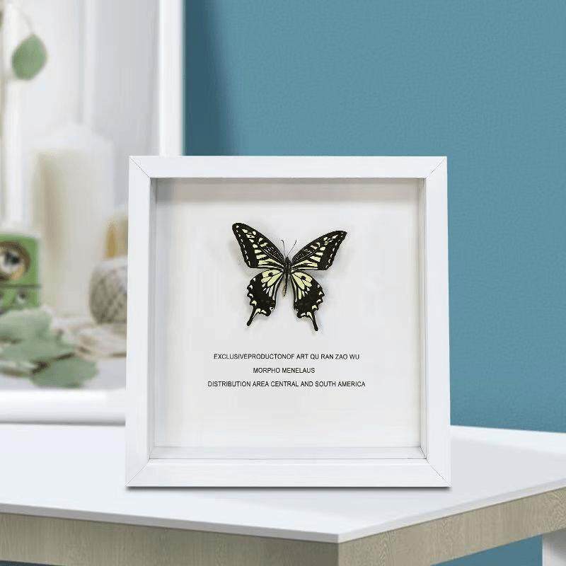 標本用品 Taiwan Dytiscoidae sp.38mm 耐低温标签-深圳万瑞科技有限公司