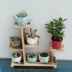 Cửa sổ mới đặc biệt bệ hoa nhỏ kệ để bàn bằng thịt mini nhiều lớp không gian xanh khay hoa văn phòng - Kệ kệ để giày Kệ