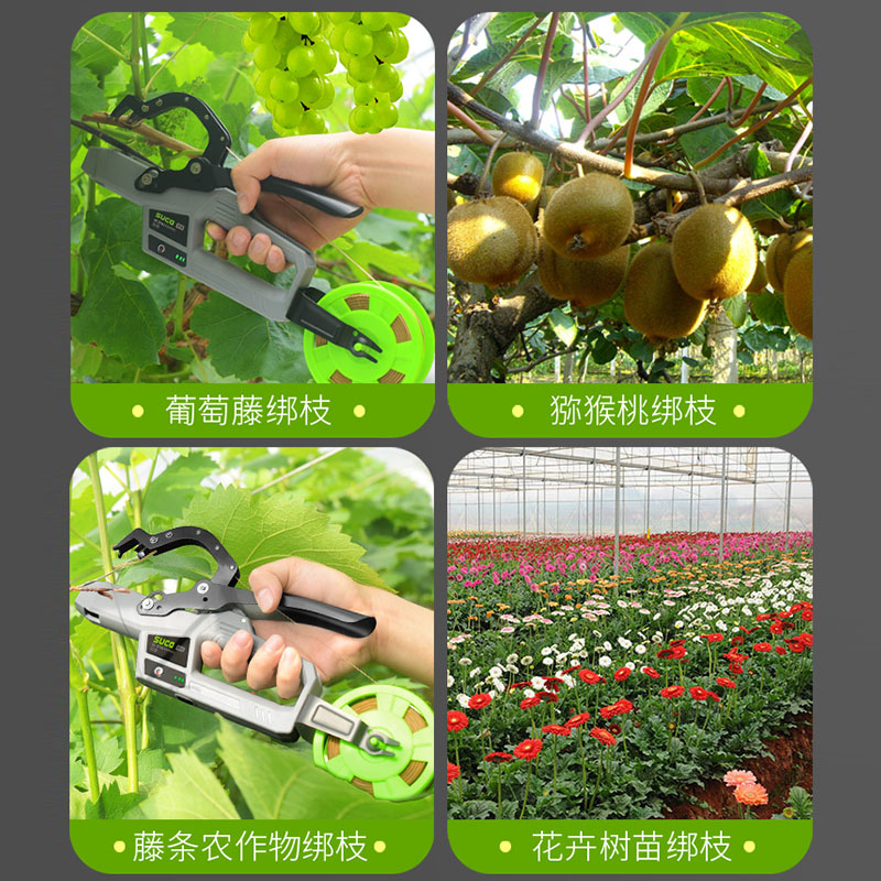 舒畅新款电动绑枝机：蔬果藤蔓的智能管理革命