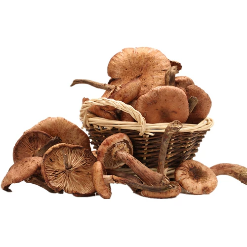 Harl Mushroom Новые товары чистые северо -восточные дикие грибы Daxinganling Хейзел Гриб 500G Натуральные лучи шиитаке грибы бесплатная доставка