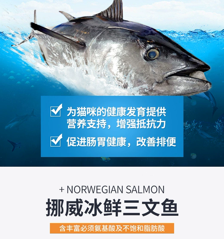 Remy Gao Aoli gói thức ăn cho mèo vào cá hồi mèo Anh mèo xanh ngắn Anh 1-12 tháng thức ăn bánh sữa tải 4 kg - Cat Staples