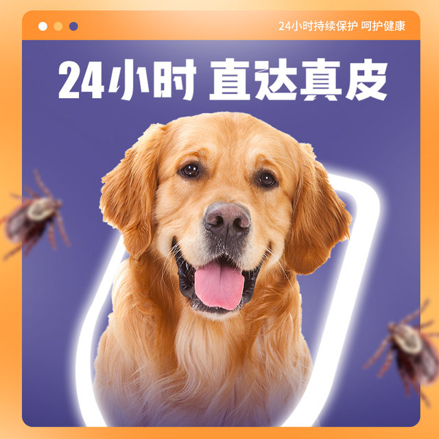 Golden retriever dog deworming ຢາ​ປົວ​ພະ​ຍາດ​ຫມາ​ທັງ​ພາຍ​ໃນ​ແລະ​ພາຍ​ນອກ​ການ​ກໍາ​ຈັດ​ແມງ​ເຫັບ​ແລະ​ເຫັບ​ທັງ​ພາຍ​ໃນ​ແລະ​ພາຍ​ນອກ​ຢາ​ຢອດ​ຢາ​ຂ້າ​ແມ່​ທ້ອງ​ສໍາ​ລັບ​ຫມາ