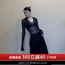 WYZ cover temperament jumpsuit V-neck sexy mesh clothing casual daily sexy high-end simple European and American style T-shirt