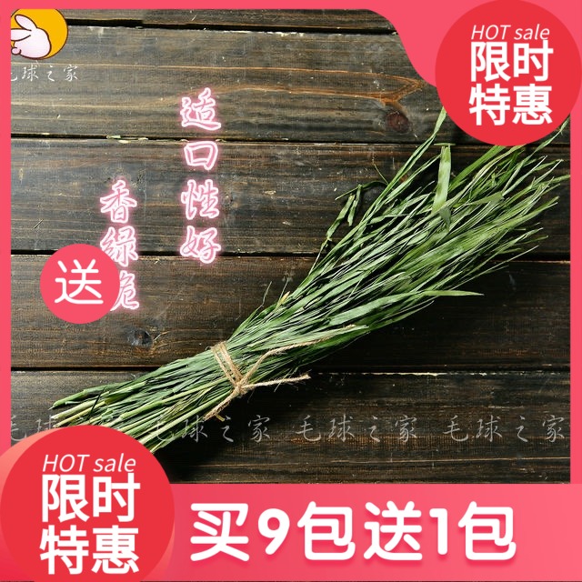 2021 New wheatgrass tender seedlings Rabbit grass Chinchilla Dutch pig Wheatgrass 250g5 bags do not eat package return