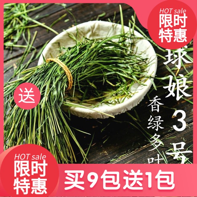 Ball Lady No. 3 21 Timothy Grass Rabbit Guinea Pig Timothy Hay Fragrant Green Multi-Leaf Nanti 500g Box