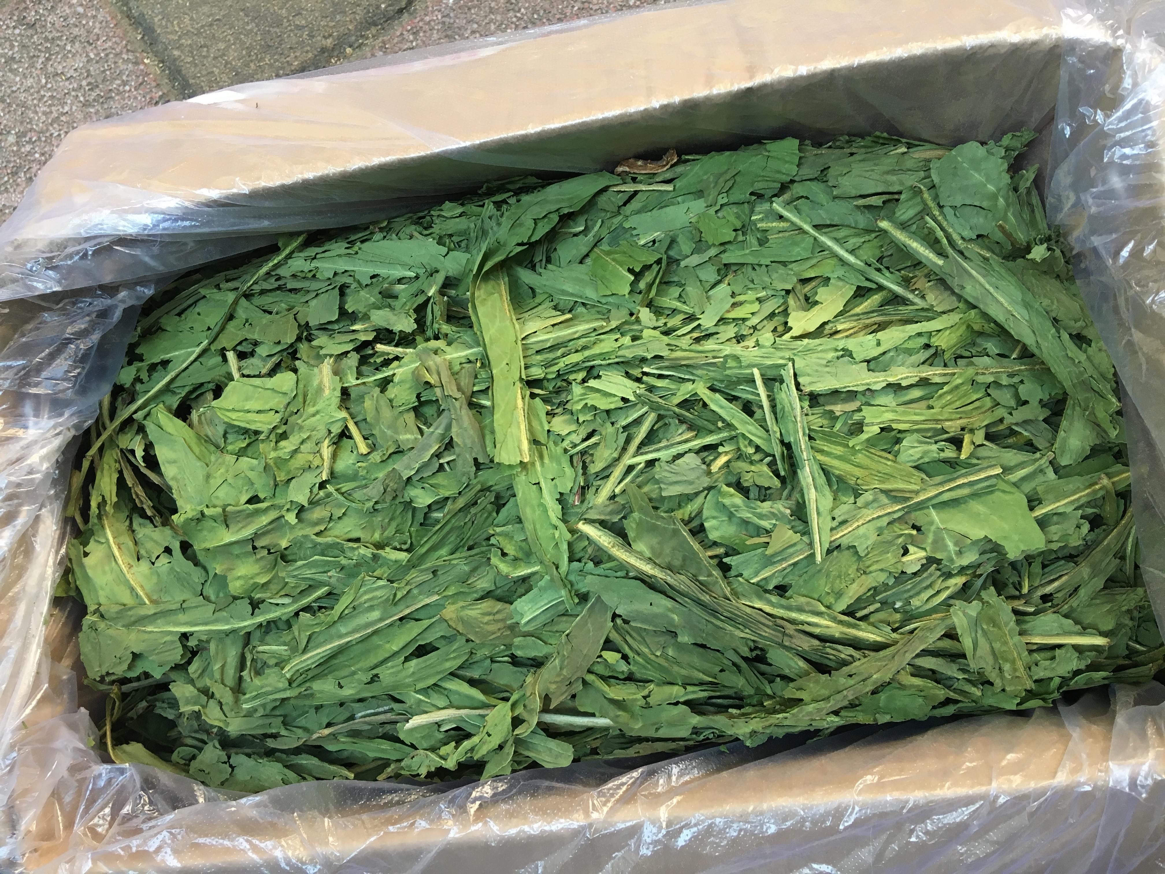 20 years dried chicory grass Rabbit grass Chinchilla Dutch pig pregnant and young gastrointestinal bad function health care grass 750g