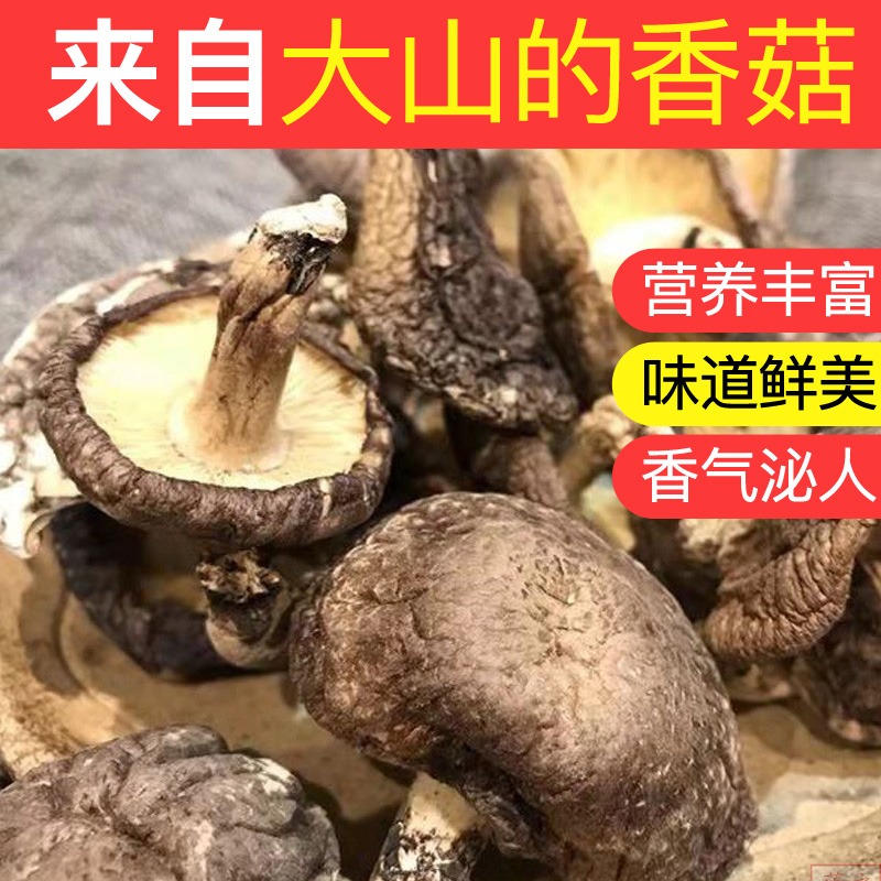 2020 new Shennongjia basswood mushroom dry goods 250g farm dry goods edible fungus small shiitake mushrooms native
