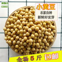 New small soybean farmer self-planting stupid soil soybean sprouting round soybean sprouting soybean milk grinding tofu raw material 500g