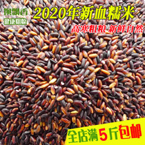 2020 new black glutinous rice blood glutinous rice without dyeing duck blood glutinous rice farmers self-planted black glutinous rice cooking porridge 500g