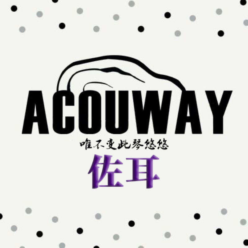 佐耳乐器官方店