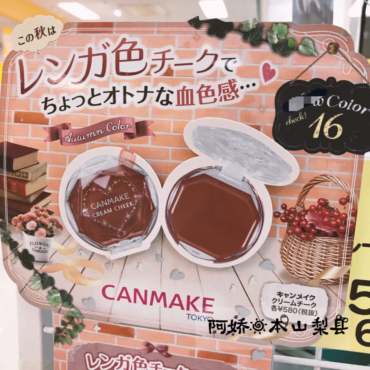 Nhật Bản gửi thư trực tiếp lĩnh vực mỏ địa phương CANMAKE16 lip môi đỏ đơn sắc màu đỏ 腮 sử dụng hai màu kem máu bò - Blush / Cochineal phấn má clio