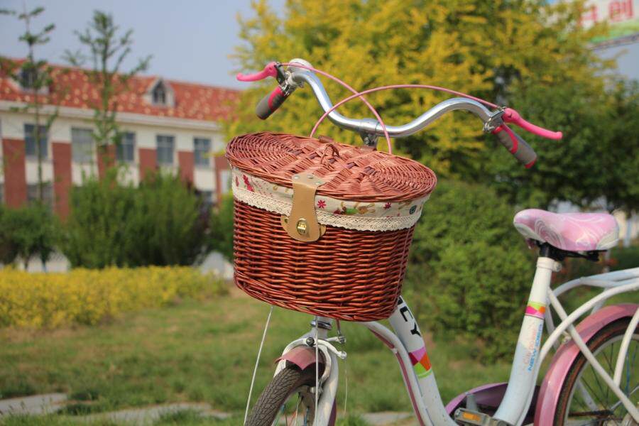 Panier pour vélo en vigne - Ref 2257871 Image 23