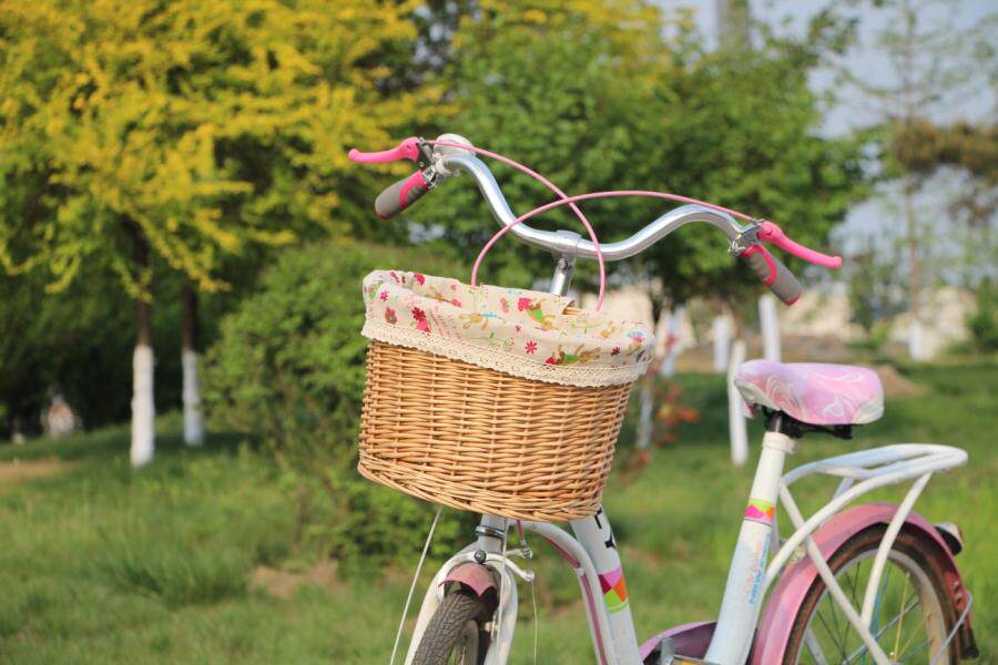 Panier pour vélo en vigne - Ref 2257871 Image 21
