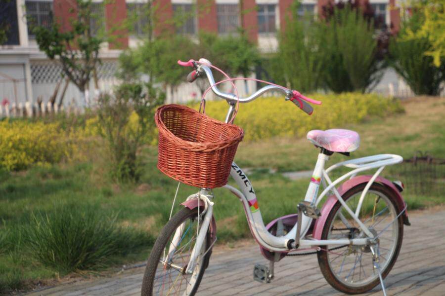 Panier pour vélo en vigne - Ref 2257871 Image 15