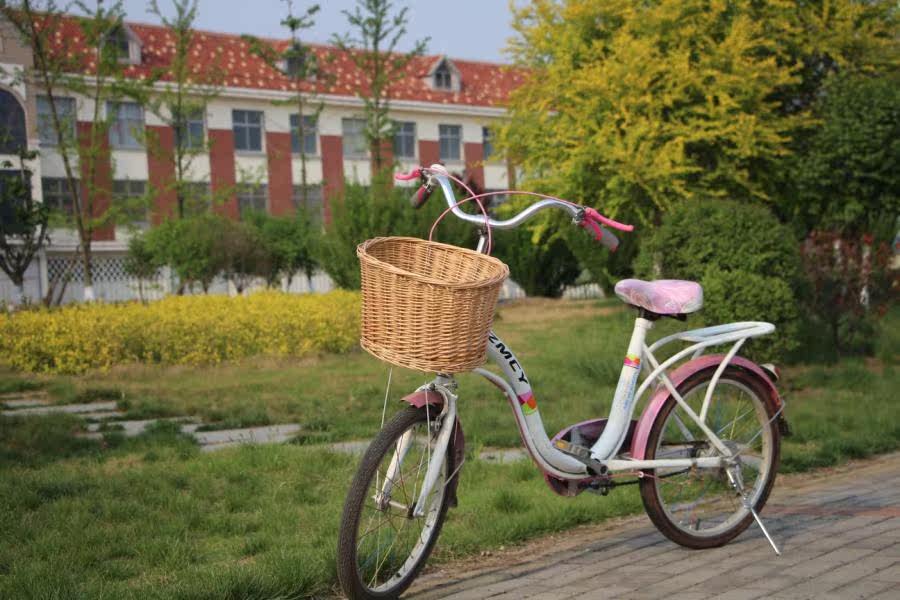 Panier pour vélo en vigne - Ref 2257871 Image 19