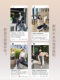 ZMA gray maternity shark pants autumn thin outer leggings summer clothing five-point yoga Barbie riding pants